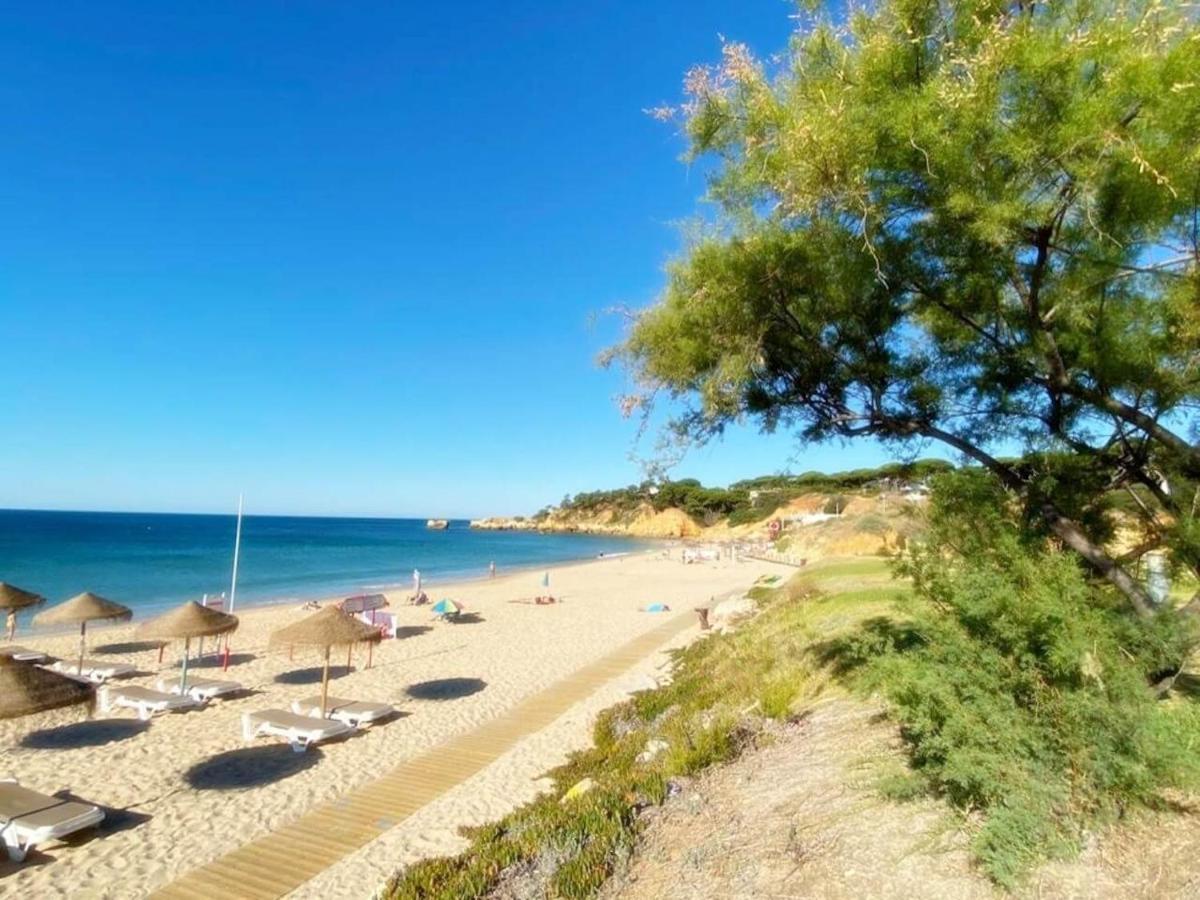 Coral By Albufeira Rental Exteriér fotografie